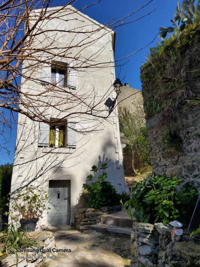Maison Casa Nova Biguglia  Zewnętrze zdjęcie